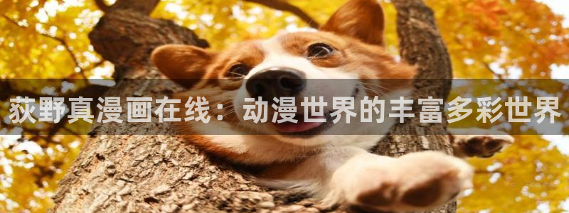 51漫画网app下载